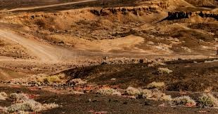 国际游戏商务大会VR主题论坛嘉宾公布 虚拟现实相对论即将上演